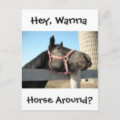 Horsing Around Briefkaart (Voorkant)