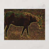 Horsing Around Briefkaart (Voorkant)