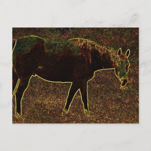 Horsing Around Briefkaart (Voorkant)