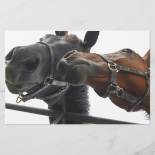 Horsing Around Briefpapier