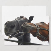 Horsing Around Briefpapier (Voorkant / Achterkant)