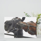 Horsing Around Briefpapier (Staand voorkant)