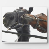 Horsing Around Fotoplaat (Voorkant)