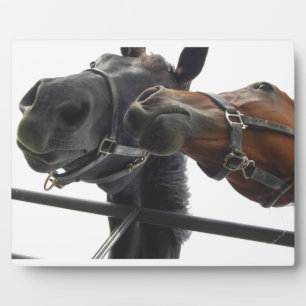 Horsing Around Fotoplaat