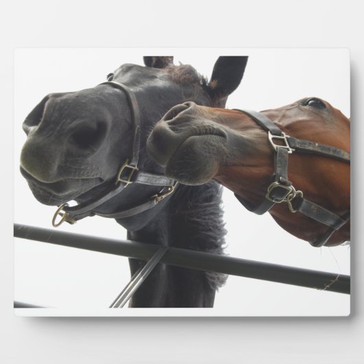 Horsing Around Fotoplaat (Voorkant)