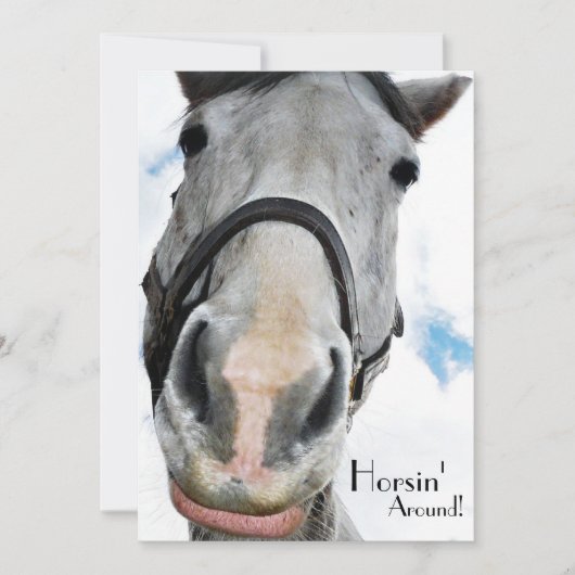 Horsing Around - Funny Horse Face for equestrians Kaart (Voorkant)