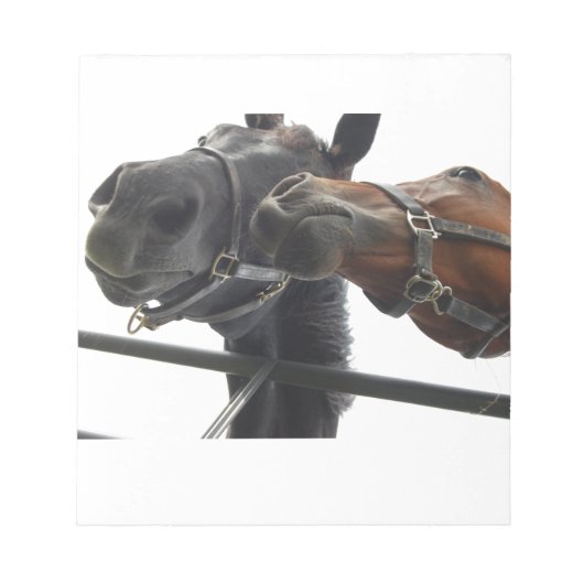 Horsing Around Notitieblok (Voorkant)