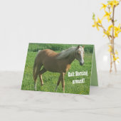 Horsing een Ronde Kaart van de Verjaardag (Gele Bloem)