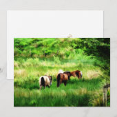 HORSINVITATIE (Voorkant / Achterkant)