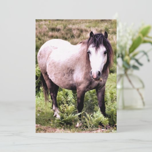 HORSINVITATIE (Staand voorkant)