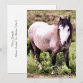 HORSINVITATIE (Voorkant / Achterkant)