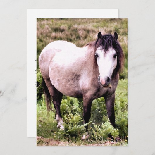 HORSINVITATIE (Voorkant / Achterkant)