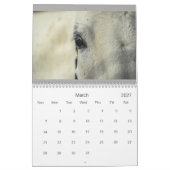 Horskalender Kalender (Mar 2027)