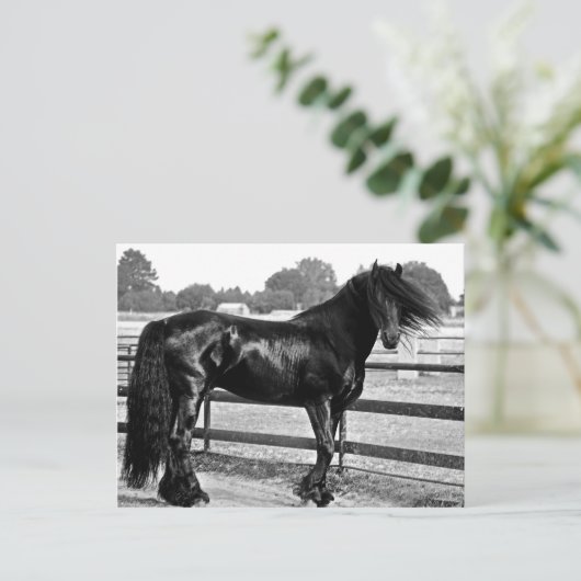 Horsmodellering Briefkaart (Staand voorkant)