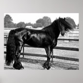 Horsmodellering Poster (Voorkant)