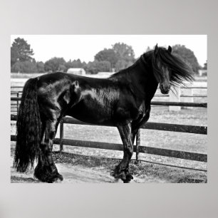 Horsmodellering Poster