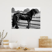 Horsmodellering Poster (Keuken)