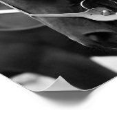 Horsportret in zwart-wit poster (Hoek)