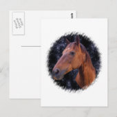 Horssterren Briefkaart (Voorkant / Achterkant)