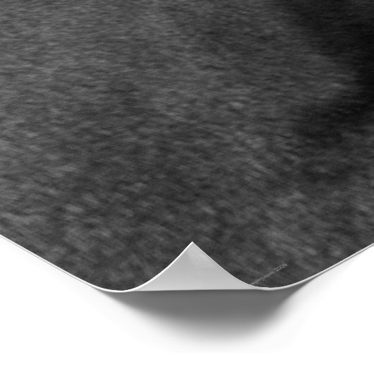 Horswapn Poster (Hoek)