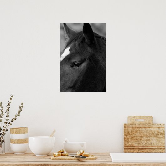 Horswapn Poster (Keuken)