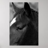 Horswapn Poster (Voorkant)