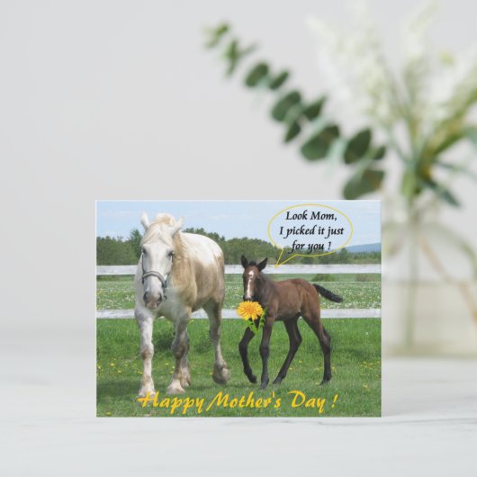 Horsy Moederdag Briefkaart (Staand voorkant)