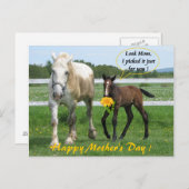 Horsy Moederdag Briefkaart (Voorkant / Achterkant)