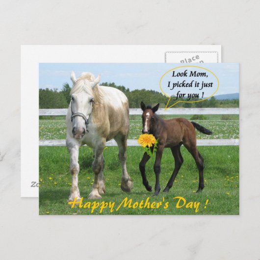 Horsy Moederdag Briefkaart (Voorkant / Achterkant)