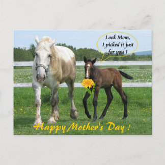 Horsy Moederdag Briefkaart
