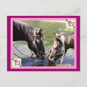 Horsy Valentijn Feestdagenkaart