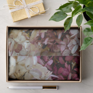 Hortensia Bloem Foto Tissuepapier