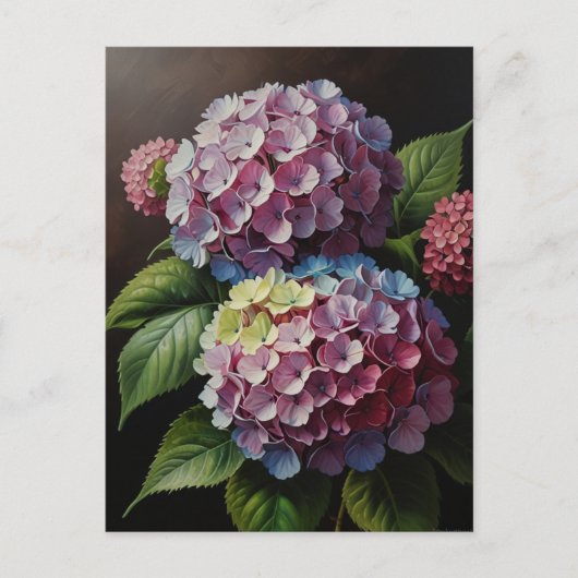 Hortensia bloemen briefkaart (Voorkant)