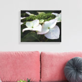 Hortensia - Bloemenfotografie - Canvas Afdruk (Insitu (Woonkamer))