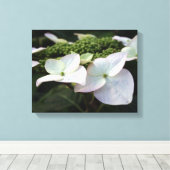 Hortensia - Bloemenfotografie - Canvas Afdruk (Insitu (Houten vloer))