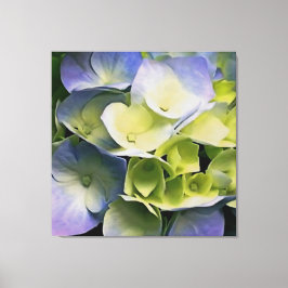 Hortensia Blossom Botanical Art Blue and Yellow Canvas Afdruk