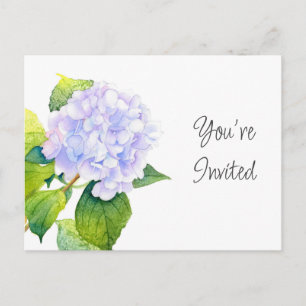 Hortensia Briefkaart