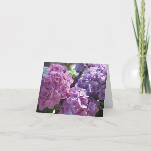 hortensia-briefkaart kaart (Voorkant)