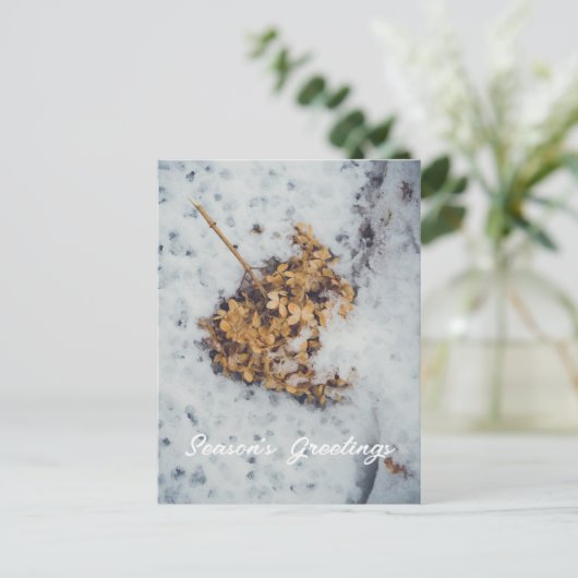 Hortensia flower op de sneeuw feestdagenkaart (Staand voorkant)