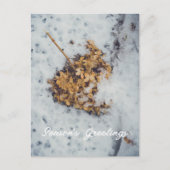 Hortensia flower op de sneeuw feestdagenkaart (Voorkant)