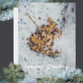 Hortensia flower op de sneeuw feestdagenkaart