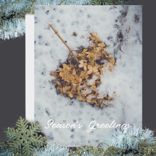 Hortensia flower op de sneeuw feestdagenkaart