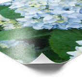 Hortensia Foto Afdruk (Hoek)