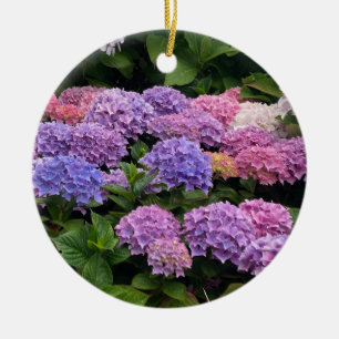 Hortensia Foto Keramisch Ornament