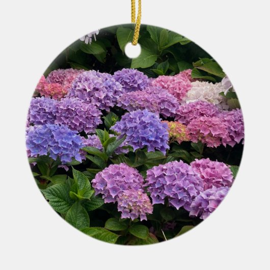 Hortensia Foto Keramisch Ornament (Voorkant)
