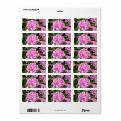 Hortensia Garden Walk Etiket (Full Sheet)