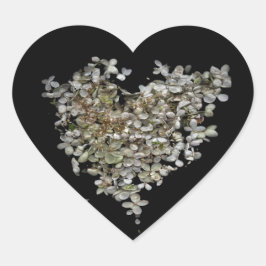 Hortensia Hart Botanische Scanografie Sticker