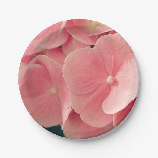 Hortensia Hydrangea roze pastel bloemen bloemen Papieren Bordje (Voorkant)