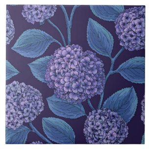 Hortensia in paars en blauw tegeltje