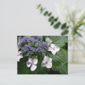 Hortensia: Japan Briefkaart (Staand voorkant)